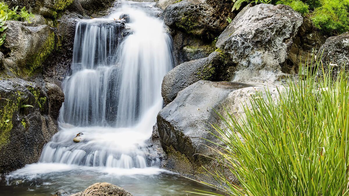 Selección de Productos de Limpieza Ecológicos para Entornos Industriales