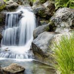 Selección de Productos de Limpieza Ecológicos para Entornos Industriales