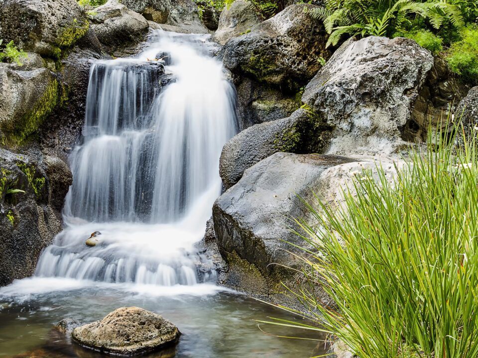 Selección de Productos de Limpieza Ecológicos para Entornos Industriales